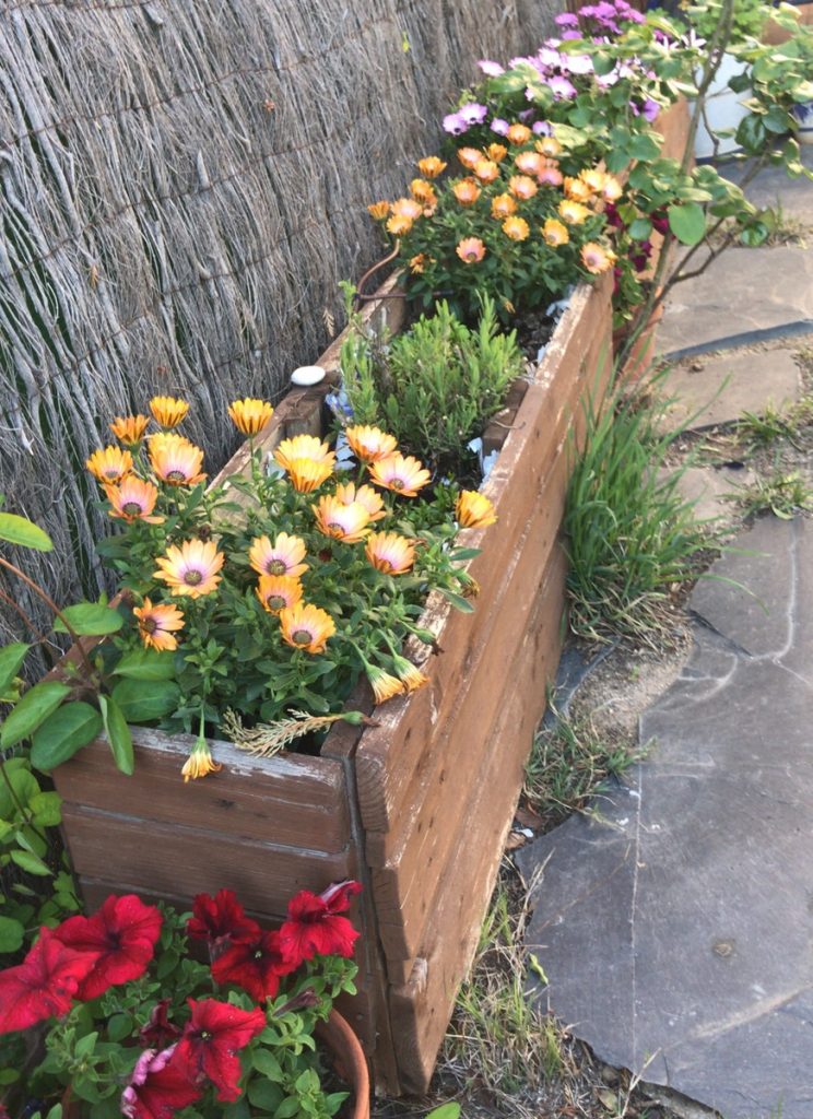 jardineras de palets con flores